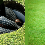Aussie golfers find poisonous snakes in the cup.