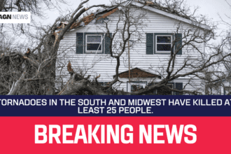 Tornadoes in the South and Midwest have killed at least 25 people.