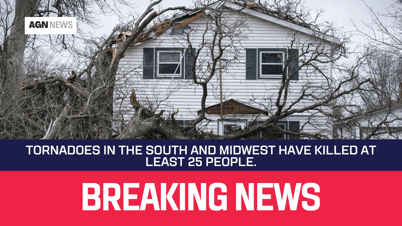 Tornadoes in the South and Midwest have killed at least 25 people.