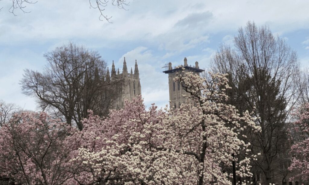 A scenic view of the Washington Monument and Reflecting Pool at sunset.