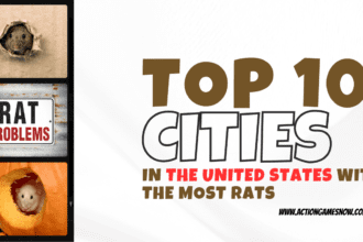 The 10 cities in the United States with the most rats.