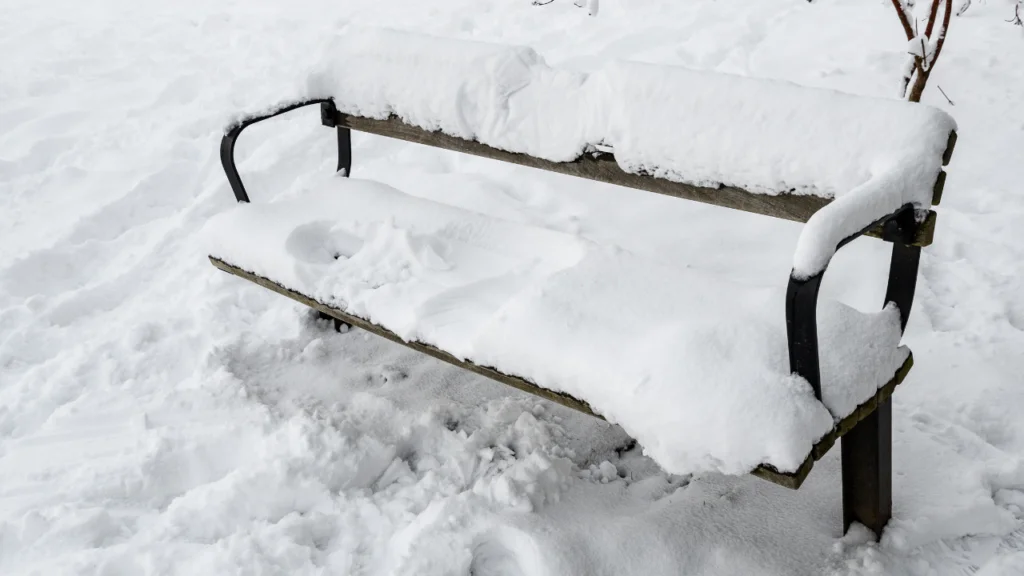 How many inches of snow did Colorado get?