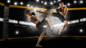 Which UFC fight brought in the most cash?
