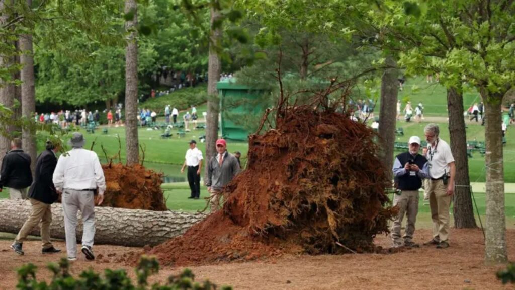 Damaged green at golf course requiring reconstruction.