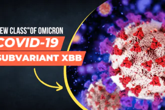COVID-19 Subvariant XBB Is a "New Class" of Omicron