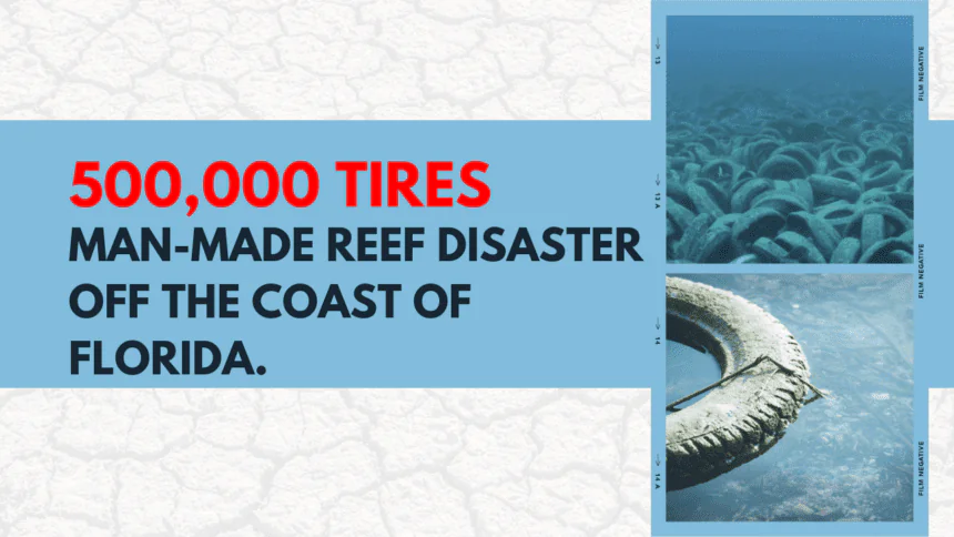 A group shares scary pictures of a man-made reef disaster off the coast of Florida 500,000 tires were left on the bottom of the ocean.