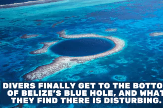 Divers finally get to the bottom of Belize's Blue Hole, and what they find there is disturbing.