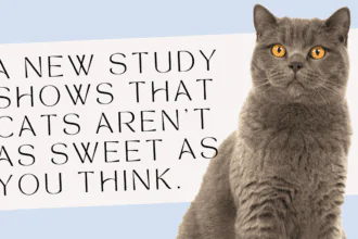 A new study shows that cats aren't as nice as you think.