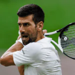 Novak Djokovic and Carlos Alcaraz will meet in the dream Wimbledon final.